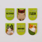 Закладки магнитные на подложке «Новый кот к нам мчится», 6 шт - Фото 3