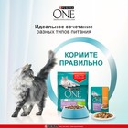 Влажный корм Purina One для кошек, курица/морковь, 75 г - Фото 4