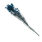 Сухоцвет «Озотамнус» 60 г, цвет синий - Фото 3