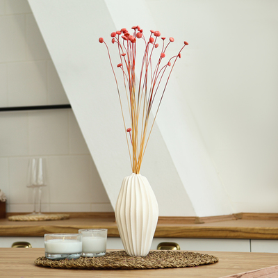 Сухоцвет «Батао» набор 20 шт., красный