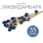 Сухоцвет «Ликвидамбара» 35 г, цвет голубой - фото 9377149