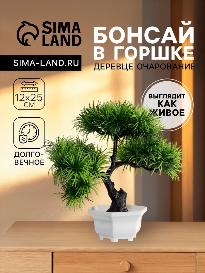 Бонсай в горшке «Цитронелла», 12×25 см - Фото 1