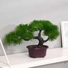 Бонсай искусственный в горшке «Дендроарт», 12×17 см, МИКС - Фото 5