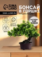 Бонсай 2