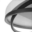 Люстра 2203/2BK LED 25 Вт 6000К бело-черный 42×42×14 см BayerLux - фото 35042505