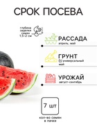 Семена Арбуз «Шуга бейби (Сахарный малыш)», 1 г, «Семена Алтая» - Фото 2