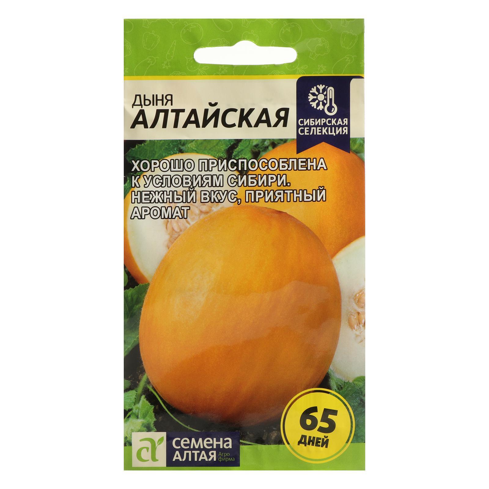 Дыня алтайская описание сорта фото отзывы садоводов Дыня алтайская описание сорта фото отзывы садоводов