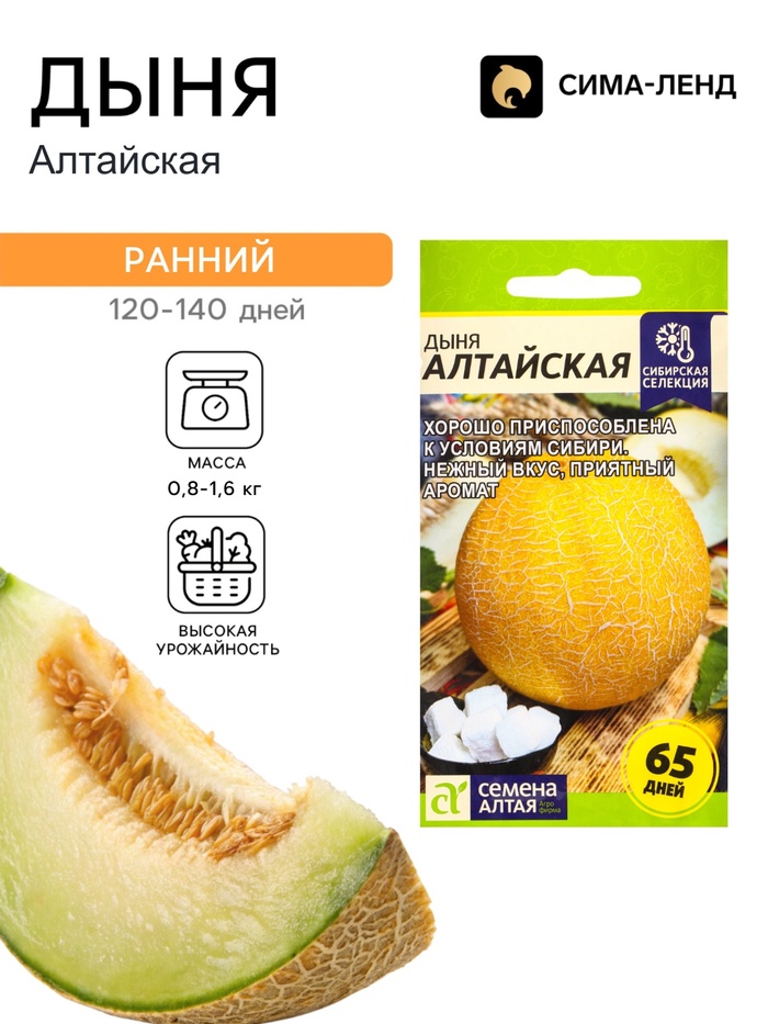 Семена Дыня «Алтайская», цветной пакет, 0.5 г - Фото 1