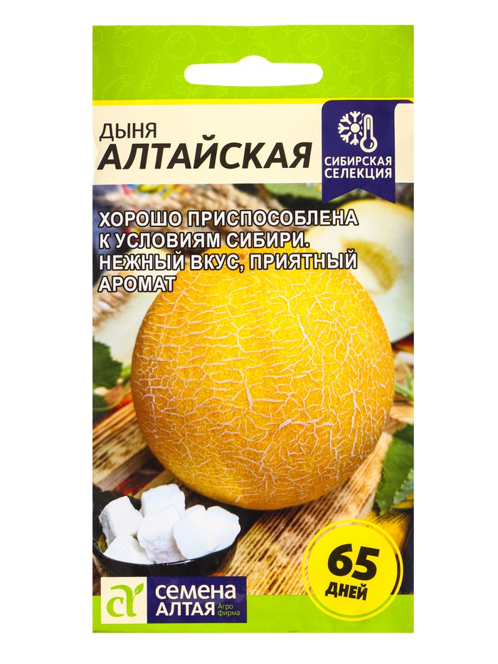 Семена Дыня «Алтайская», цветной пакет, 0.5 г - Фото 1