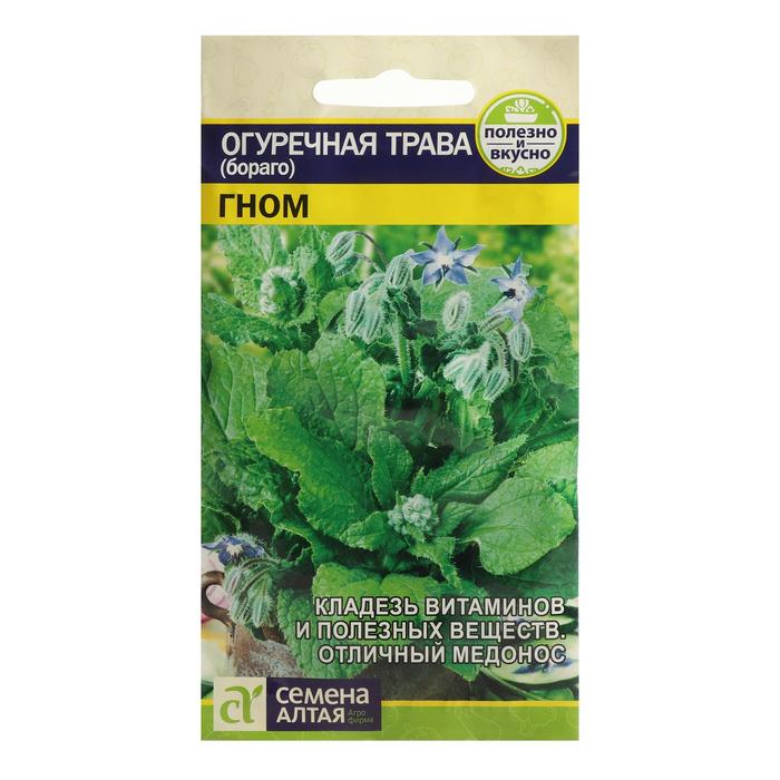 Семена огуречная Трава «Гном», Семена Алтая, 0.5 г - Фото 1