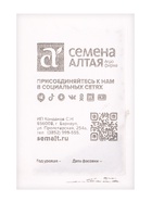 Семена Петрушка Сахарная "Корневая", Сем. Алт, б/п, 1 г - Фото 2