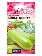 Семена Кабачок «Искандер», F1, 5 шт., «Семена Алтая» - Фото 5