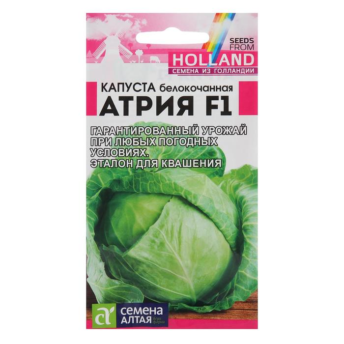 Семена Капусты белокочанной "Атрия", F1, 12 шт. - Фото 1