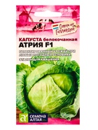 Семена Капуста белокочанная «Атрия» F1, 10 шт. «Семена Алтая» - Фото 5