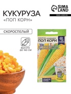 Семена Кукуруза лопающаяся «Поп Корн», 5 г, «Семена Алтая» - Фото 1