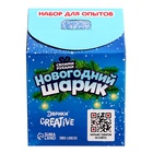 Набор для опытов «Новогодний шарик: Дед Мороз», диаметр 7 см - Фото 12