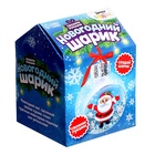 Набор для опытов «Новогодний шарик: Дед Мороз», диаметр 7 см - Фото 10