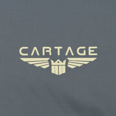 Термосумка Cartage Т-11, серая, 18 л, 35×21×24 см
