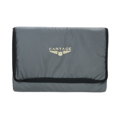 Термосумка Cartage Т-11, серая, 18 л, 35×21×24 см