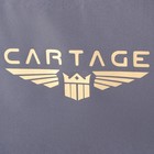 Термосумка Cartage Т-11, серая, 18 л, 35х21х24 см - Фото 6