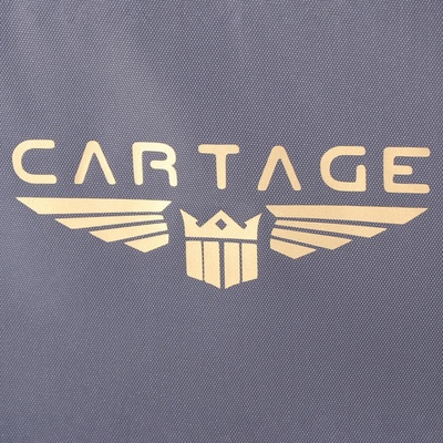 Термосумка Cartage Т-11, серая, 18 л, 35×21×24 см