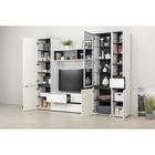 Тумба под ТВ Сидней 13.63, 1299х413х524, цвет чёрный / белый премиум МДФ - Фото 4