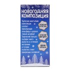 Набор для творчества «Новогодняя композиция в шаре. Домик», светится в темноте 6775371 - фото 12524274