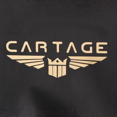 Термосумка Cartage Т-10, черная, 18 л, 35×21×24 см