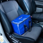 Термосумка Cartage Т-12, синяя, 18 л, 35×21×24 см - Фото 2