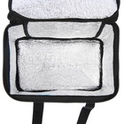 Термосумка Cartage Т-12, синяя, 18 л, 35×21×24 см - Фото 5