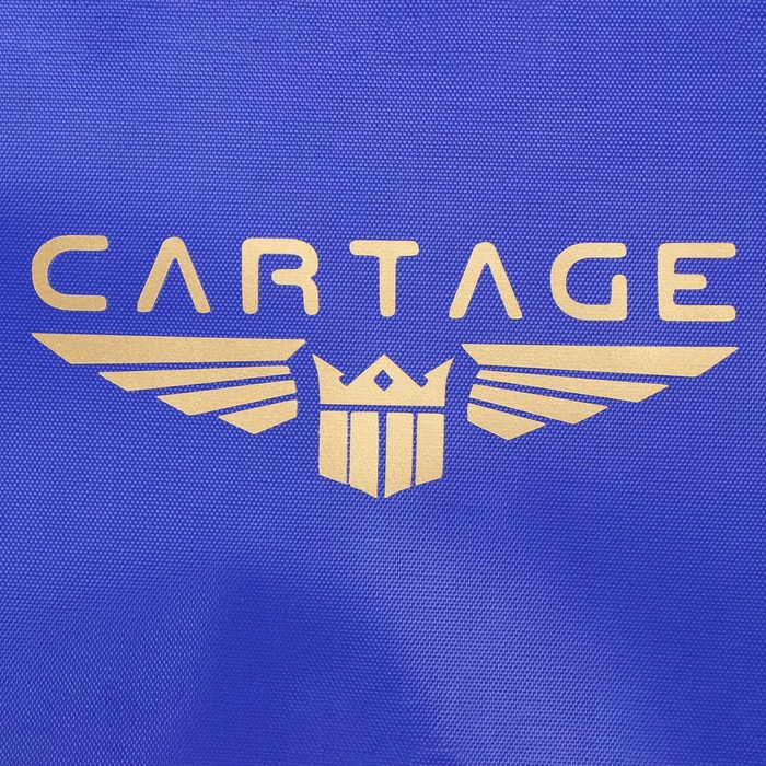 Термосумка Cartage Т-12, синяя, 18 л, 35х21х24 см - фото 1908751515