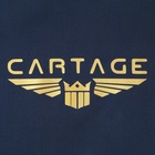 Термосумка Cartage Т-16, синяя, 10 л, 26х19х19 см - фото 9837356