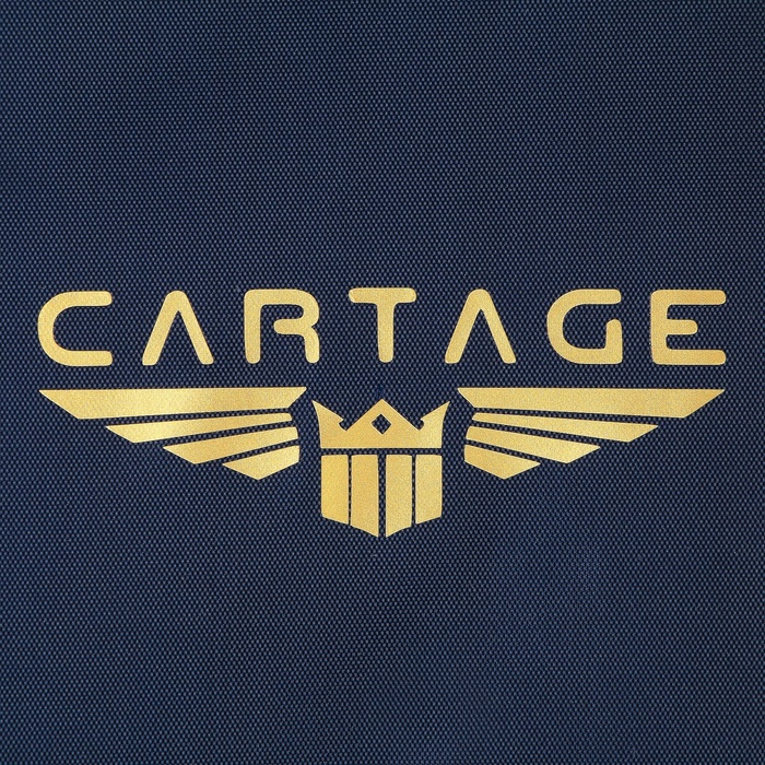 Термосумка Cartage Т-16, синяя, 10 л, 26х19х19 см - фото 1885220483