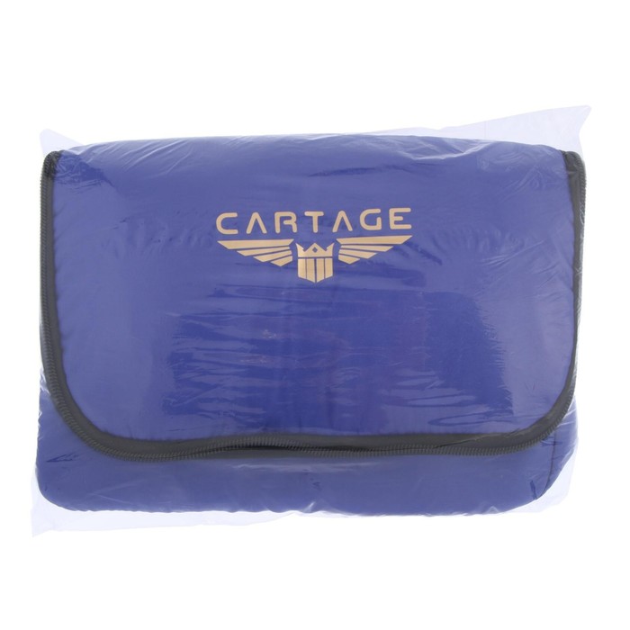 Термосумка Cartage Т-16, синяя, 10 л, 26х19х19 см - фото 1885220485
