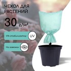 Чехол для растений, 40 × 28 см, спанбонд УФ-стабилизатором, плотность 30 г/м², МИКС - фото 9378611