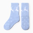 Носки детские махровые, цвет голубой, размер 12 - фото 1800095