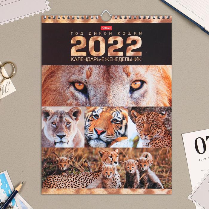 Календарь перекидной на ригеле "Символ года" еженедельник, 24х32 см, 2022 год - Фото 1