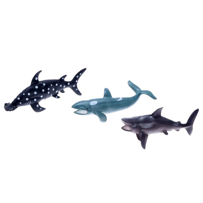 Набор морских животных «Хищники», 3 штуки - фото 1905843467