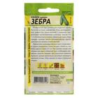 Семена Кабачок "Зебра", Сем. Алт, ц/п, 2 г - Фото 2