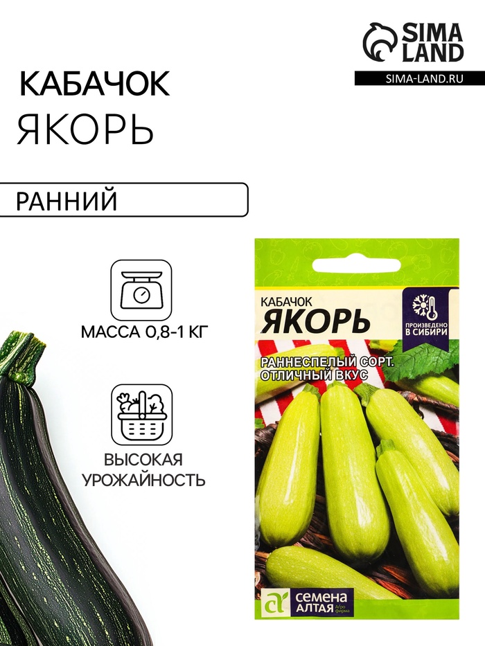 Семена Кабачок «Якорь», 2 г, «Семена Алтая» - Фото 1