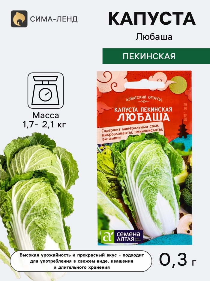 Семена Капуста пекинская «Любаша», 0.3 г, «Семена Алтая» - Фото 1