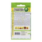 Семена Капусты белокочанной "Слава 1305", Сем. Алт, ц/п, 0,5 г - Фото 2