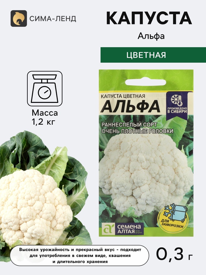Семена Капуста цветная «Альфа», 0.3 г, раннеспелая, «Семена Алтая» - Фото 1