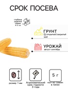 Семена Кукуруза сахарная «Кубанский Сахарный 210», 5 г, «Семена Алтая» - Фото 2