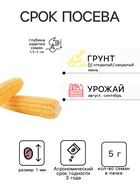 Семена Кукуруза сахарная «Сластена», 5 г, «Семена Алтая» - Фото 2