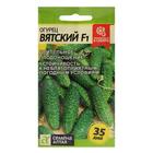 Семена огурца "Вятский", F1, 6 шт. - Фото 1