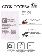 Семена Огурец «Зозуля», F1, «ТСХА 77», белый пакет, 0.3 г, «Семена Алтая» - Фото 2