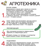 Семена Огурец "Ира", F1, Сем. Алт, ц/п, 0,3 г 7349371 - фото 14324861