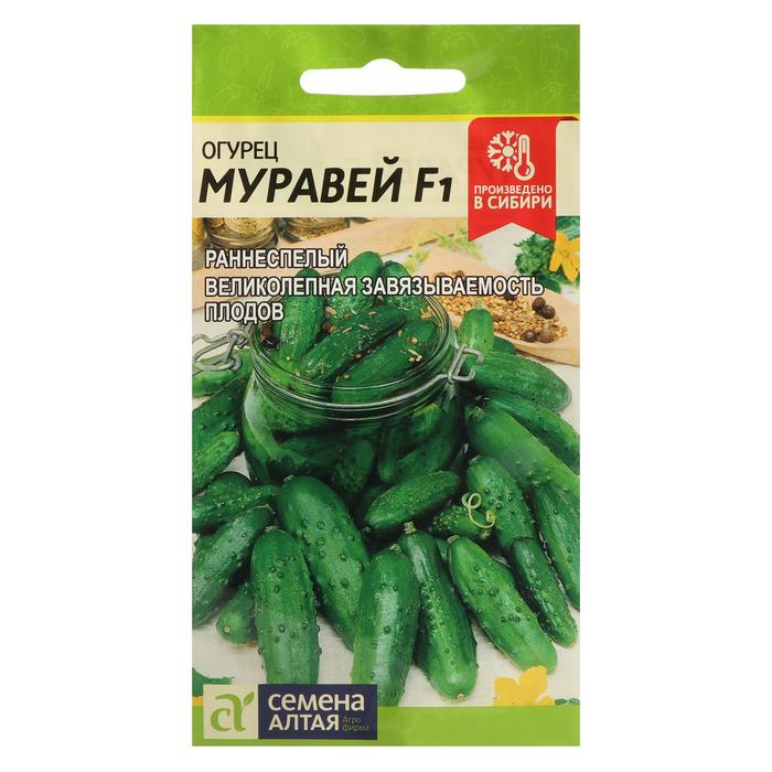 Семена Огурец "Муравей", F1, Сем. Алт, ц/п, 5 шт - Фото 1