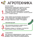 Семена Огурец "Тополек", F1, Сем. Алт, ц/п, 0,3 г 7349412 - фото 14324873